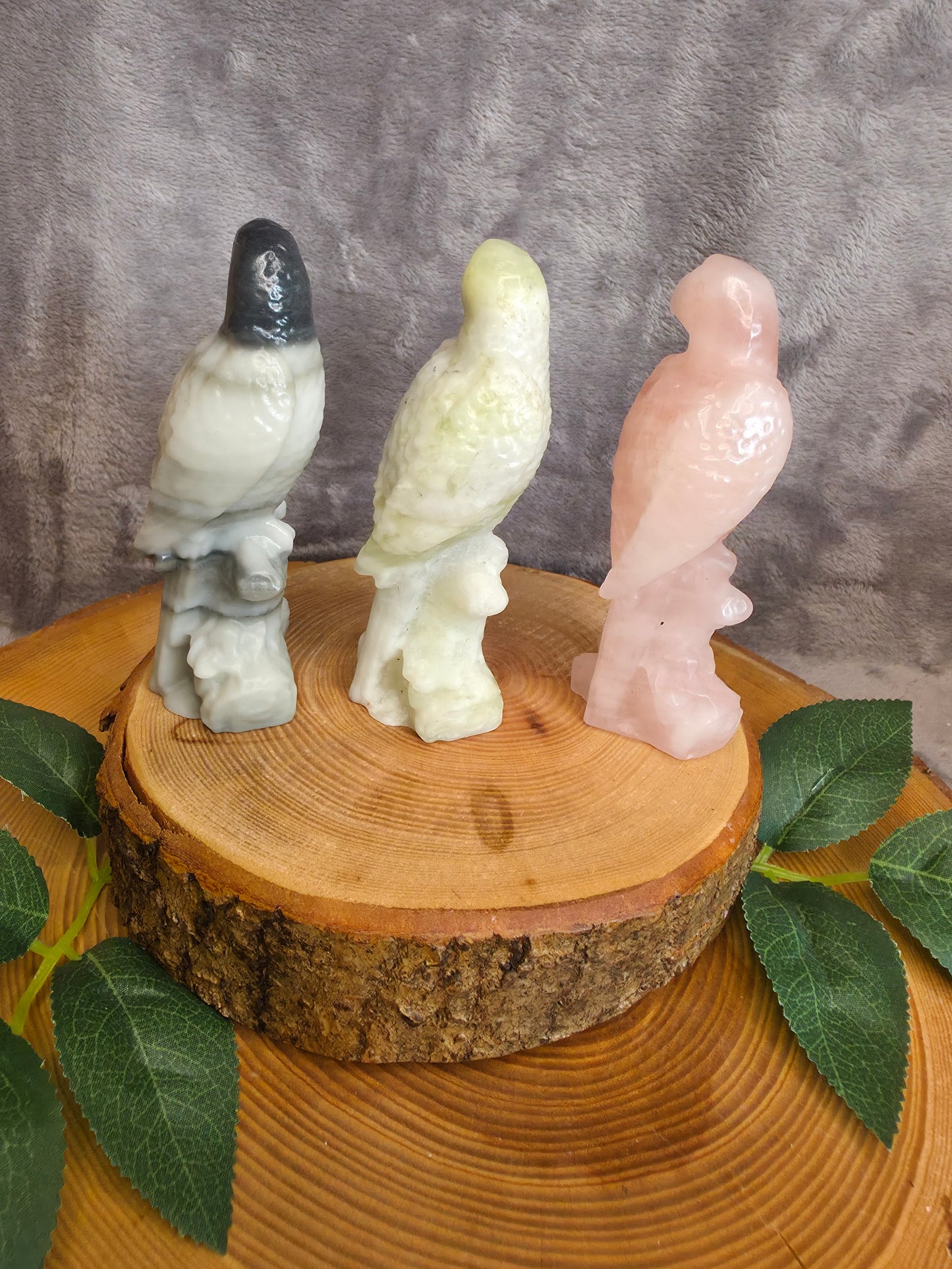 Papagei Carving (wählbar)