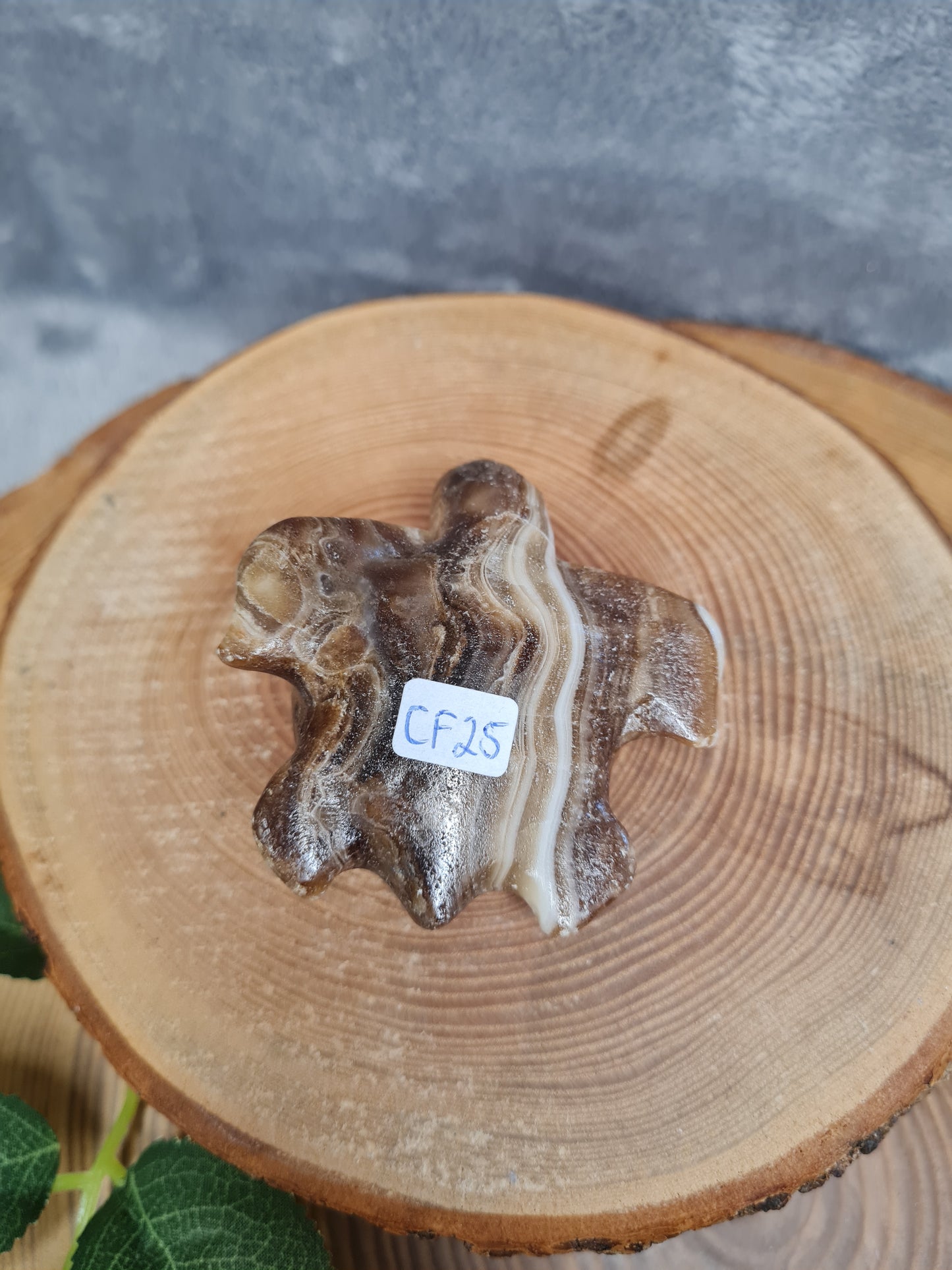 Schokoladen Calcit Schildkröte (CF25)