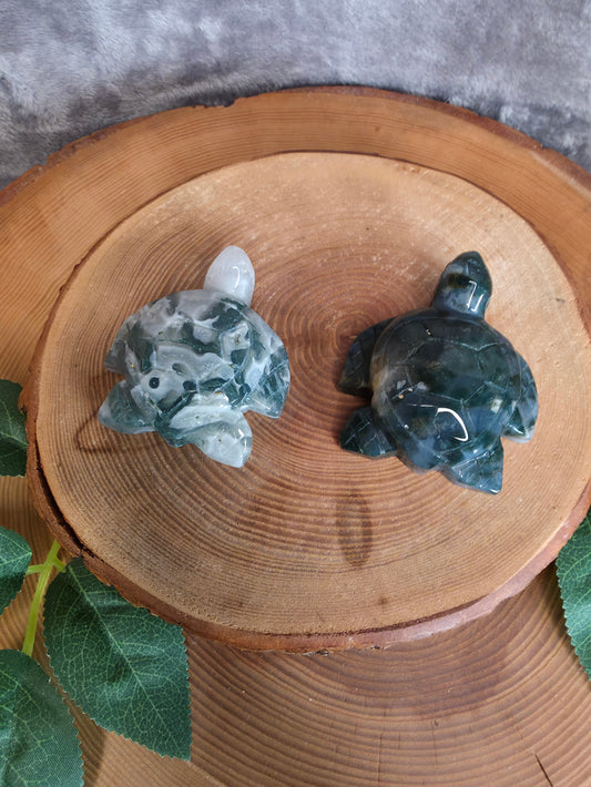 Moosachat Schildkröte (wählbar)