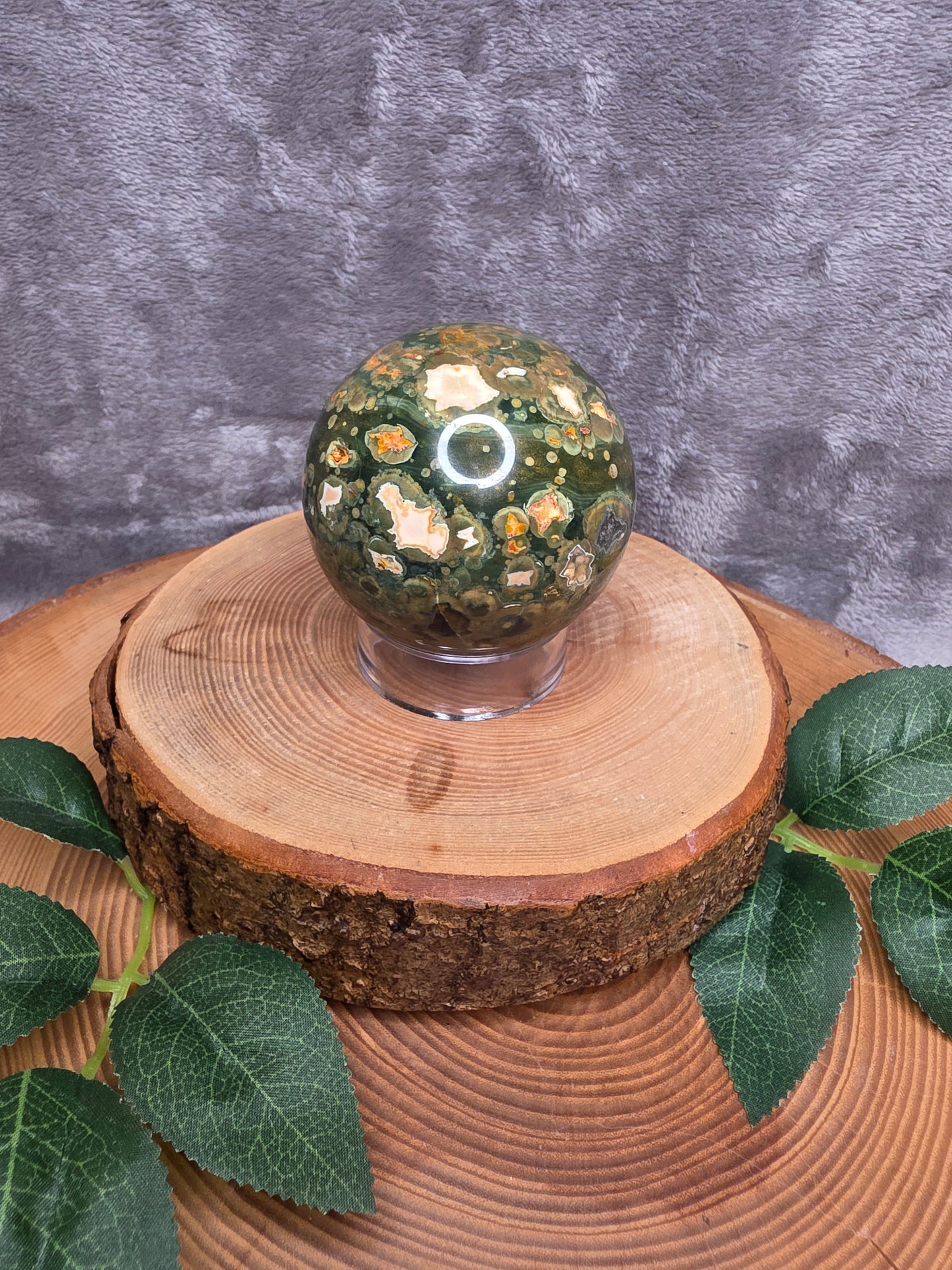Regenwaldjaspis Kugel (G45)