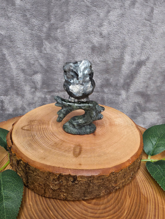 Larvikit Eule auf grüner Jade Ast