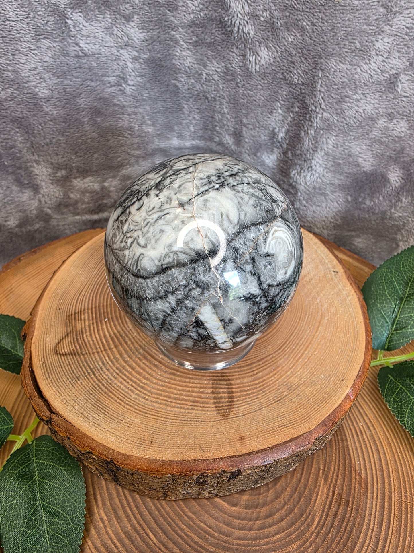 Muschel/Schnecken Fossilien Kugel (F36)