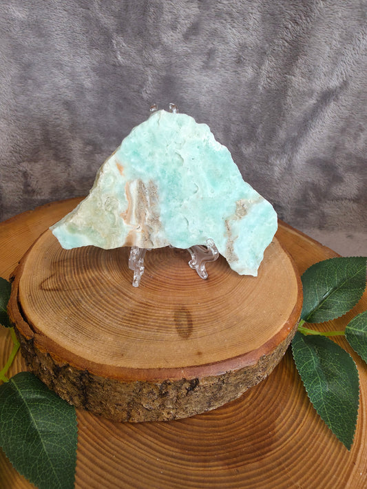 Karibischer Calcit/ Aragonit Scheibe (C11)