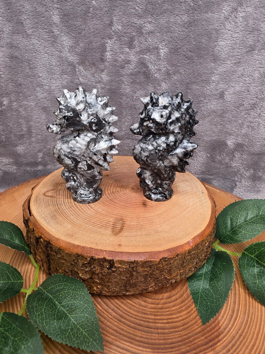 Muschel/Schnecken Fossilien Seepferdchen (wählbar)