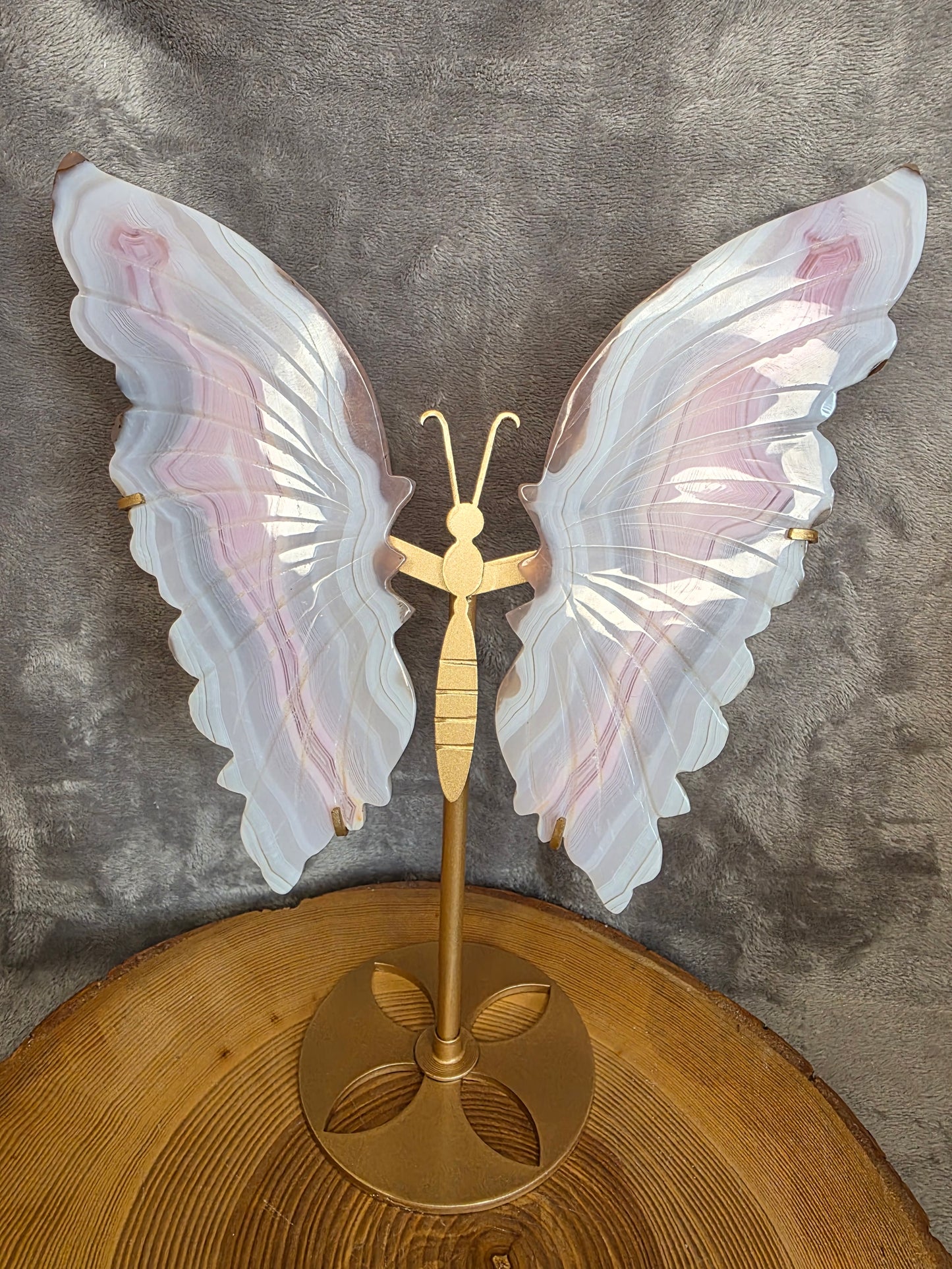 Achat Schmetterling (Jelly Achat)