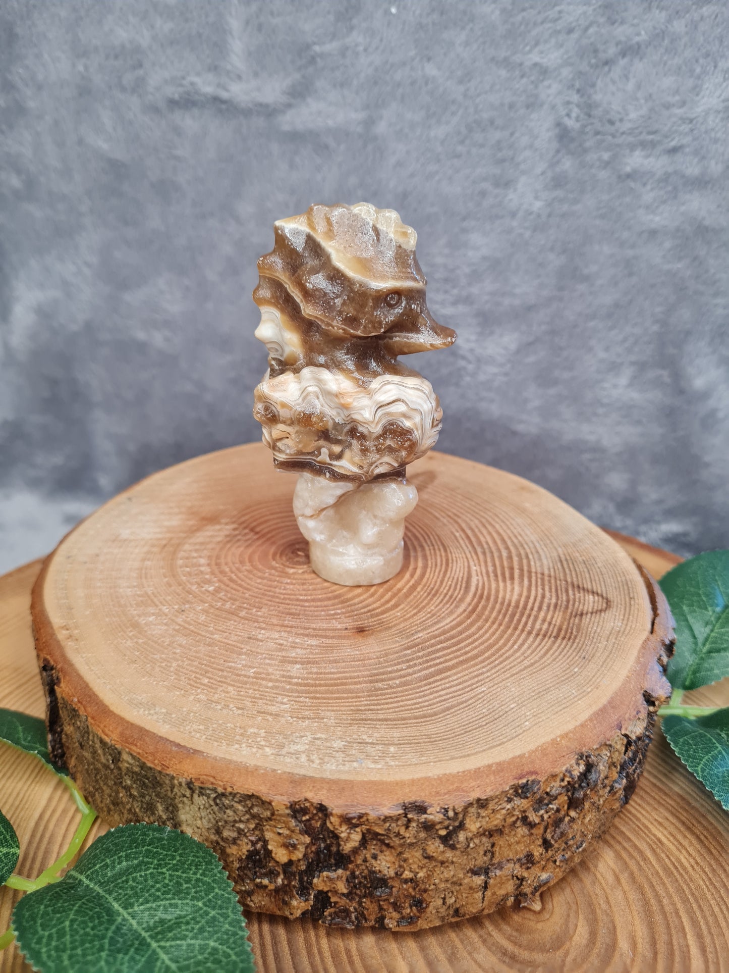 Schokoladen Calcit Seepferdchen (SO23)