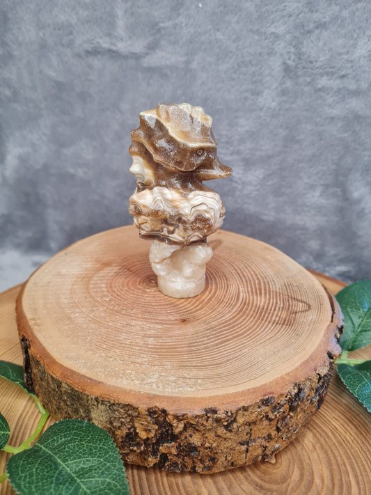 Schokoladen Calcit Seepferdchen (SO23)