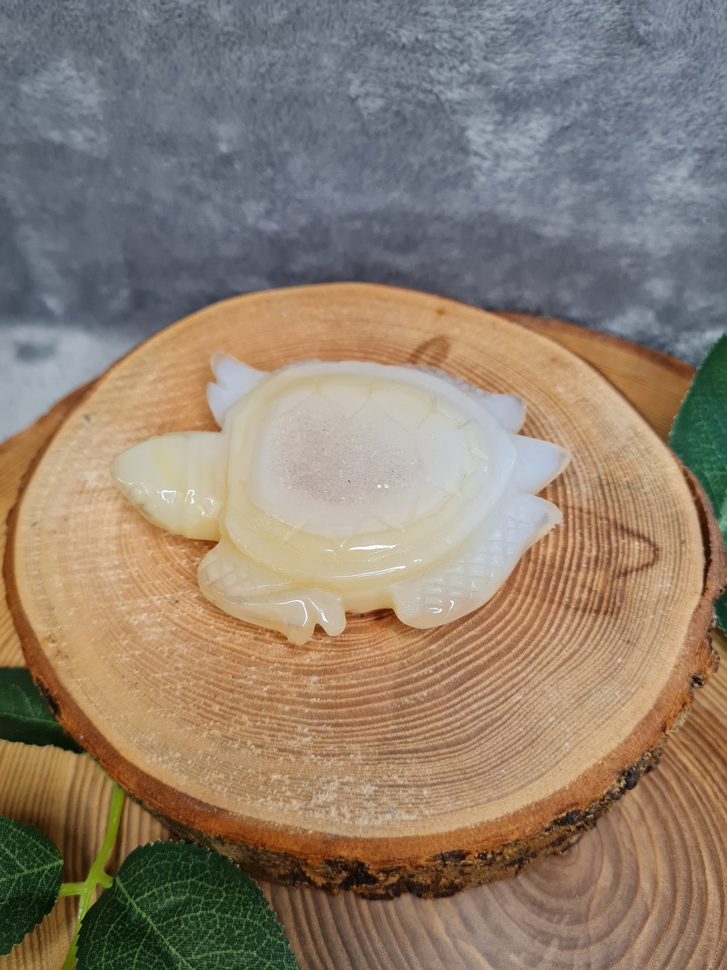 Achat Schildkröte mit Druse (TT29)