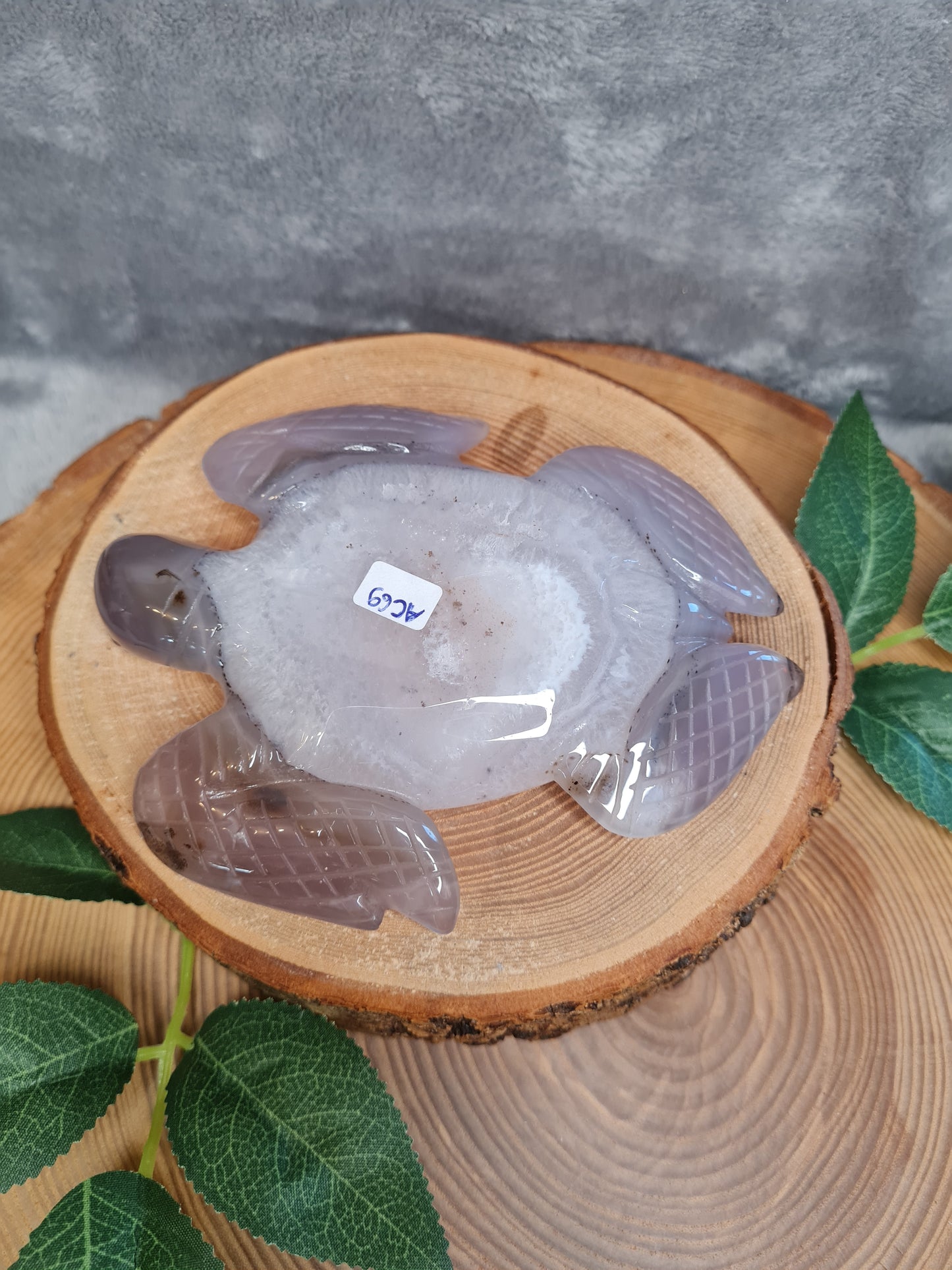 Achat Schildkröte mit Druse (AC69)