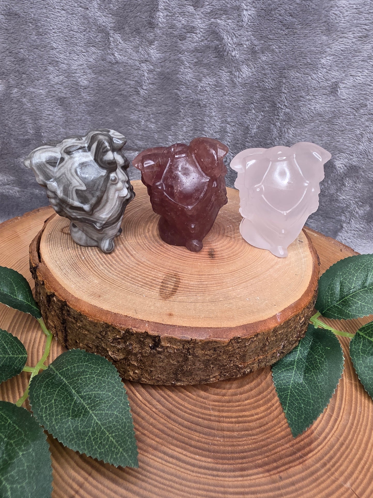 Niedliches Löwenbaby mit Verkleidung