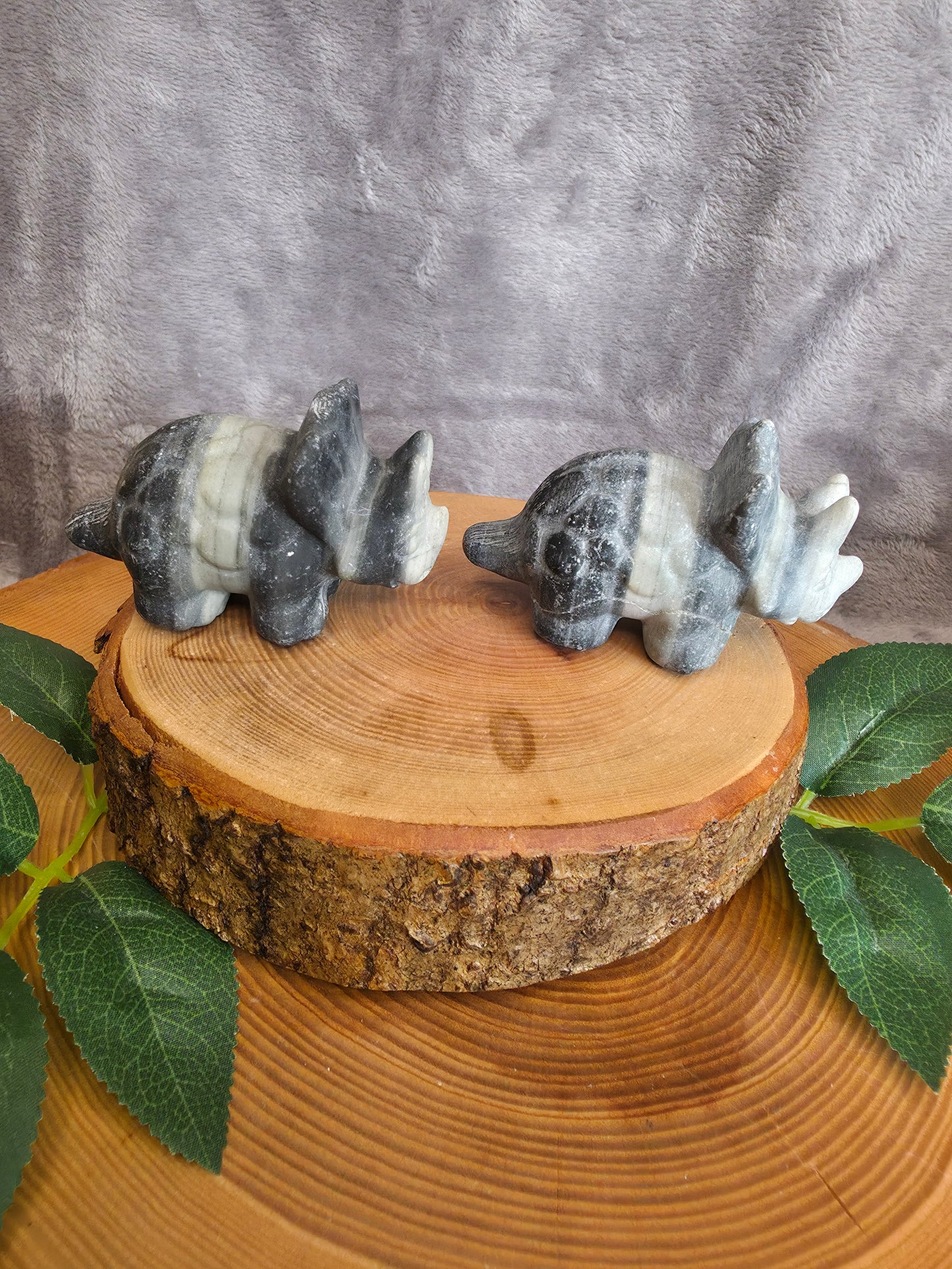 Tai Chi Triceratops (wählbar)