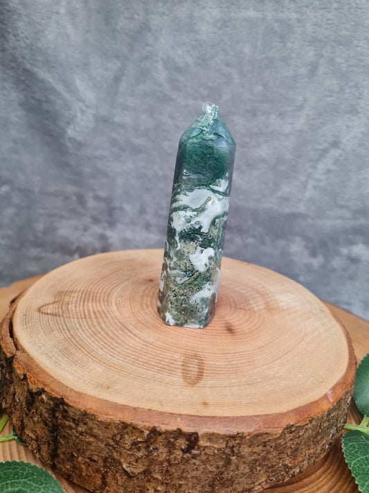 Moosachat Turm (CM12)