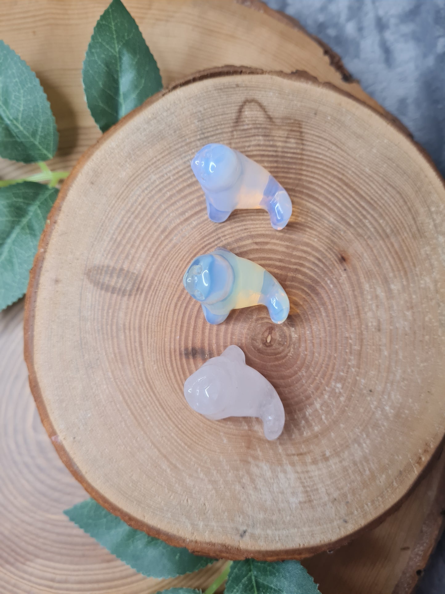 Robben Carving klein