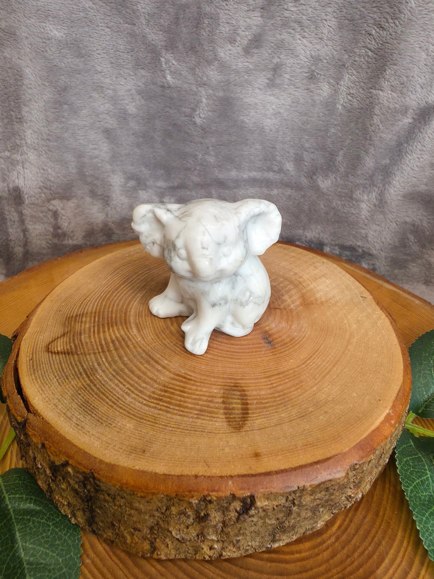 Koala Carvings (wählbar)