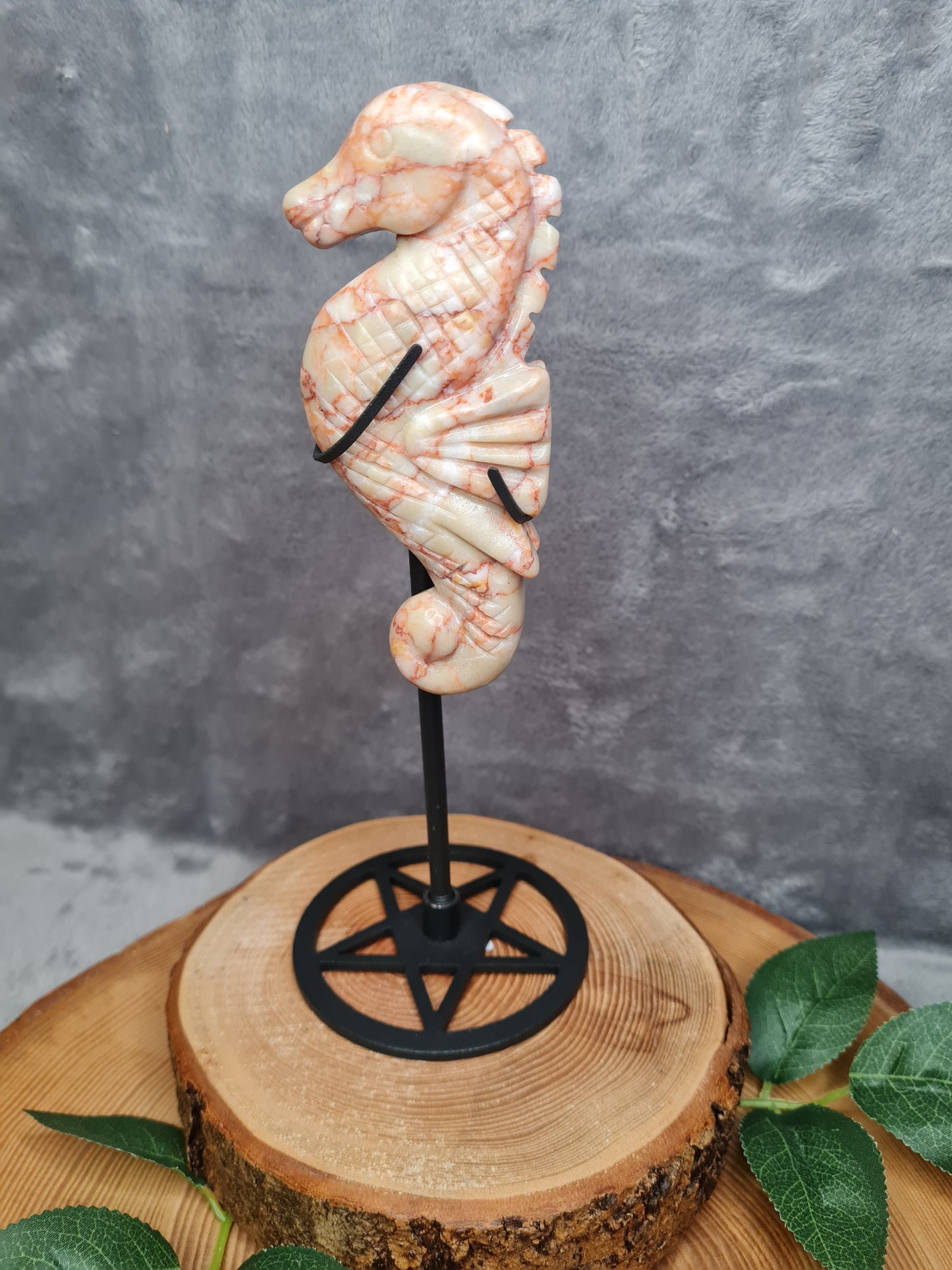 Roter Venen Jaspis Seepferdchen