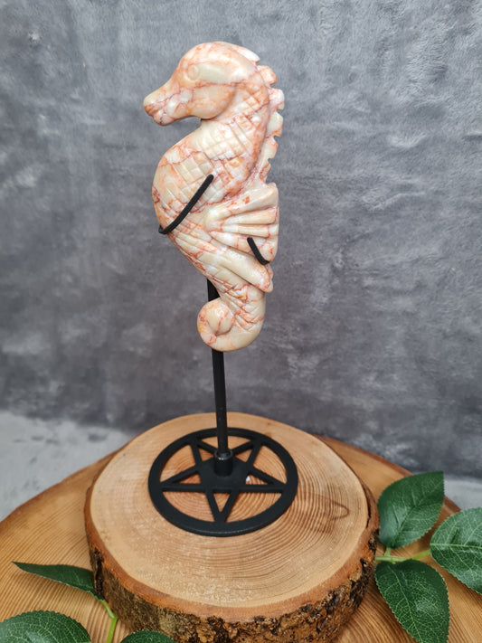 Roter Venen Jaspis Seepferdchen