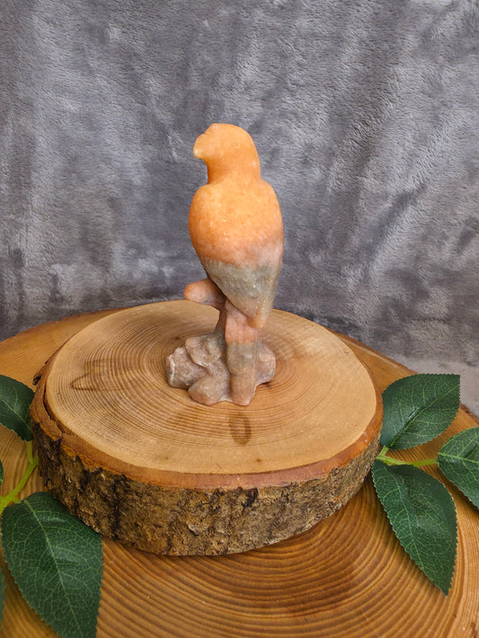 Orange Jasper Papagei (M33)