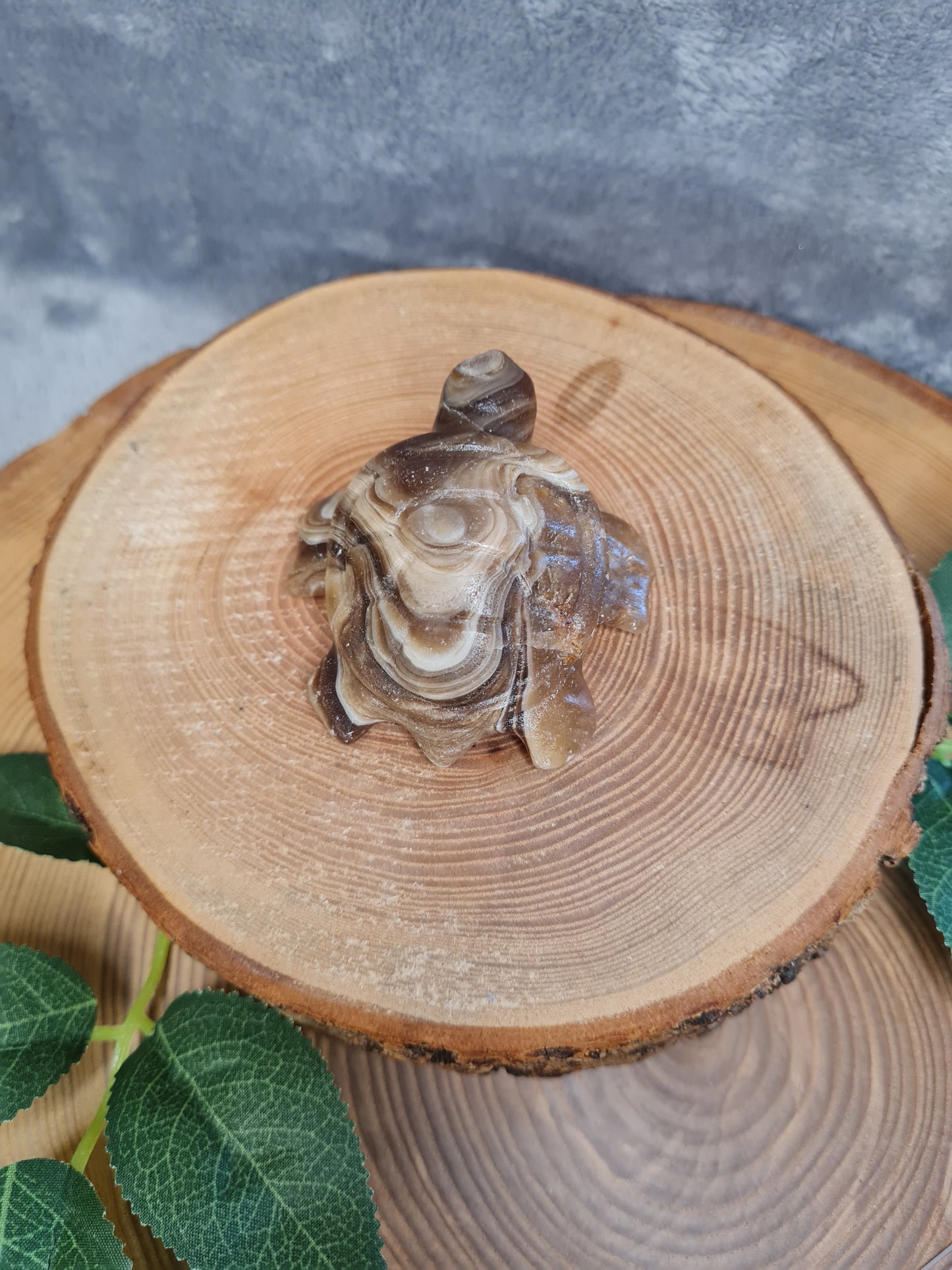 Schokoladen Calcit Schildkröte (CB25)