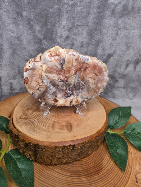 Versteinertes Holz (N29)