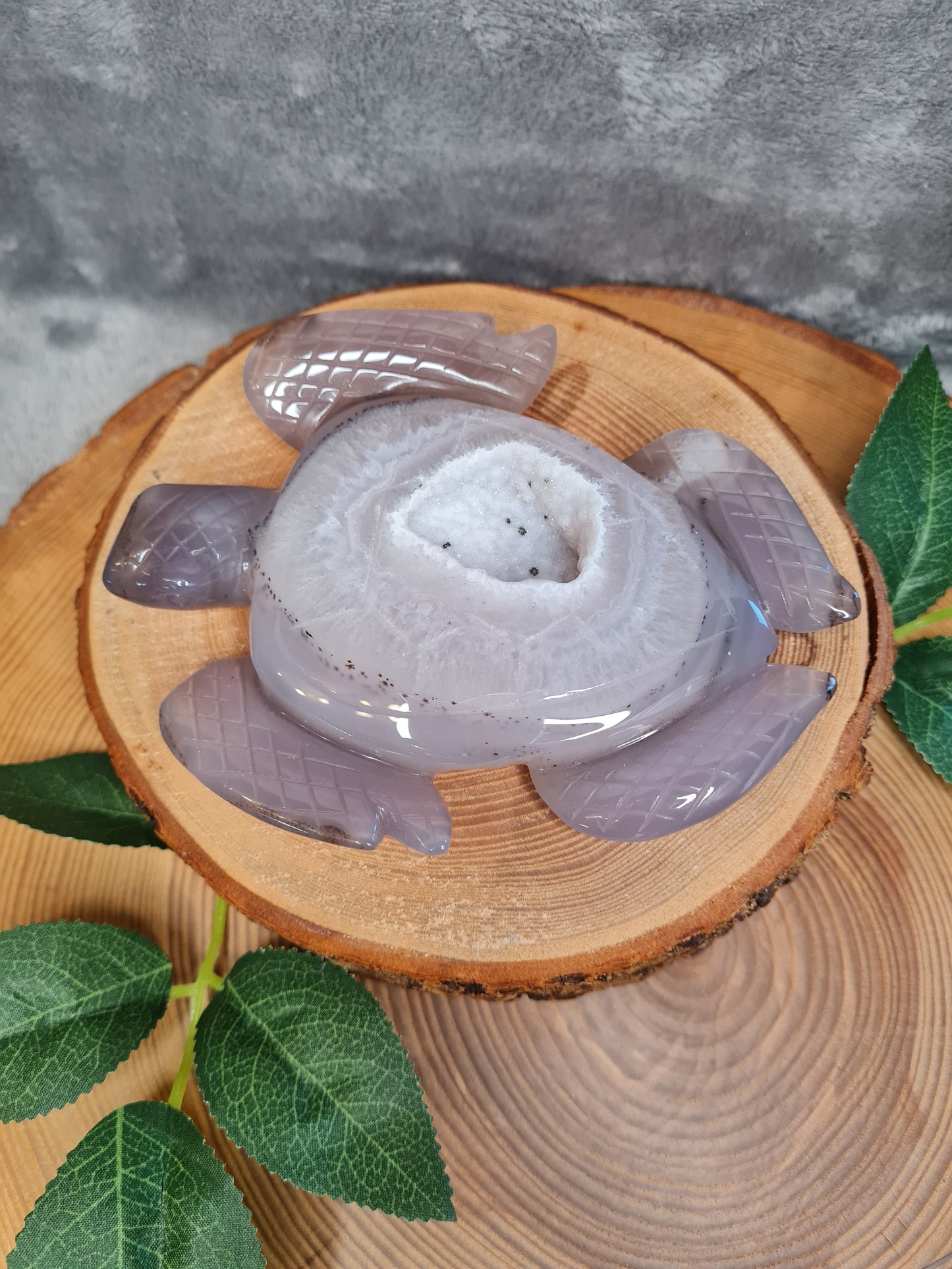 Achat Schildkröte mit Druse (AC69)