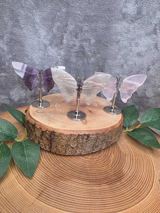 Mini Schmetterlinge (wählbar)