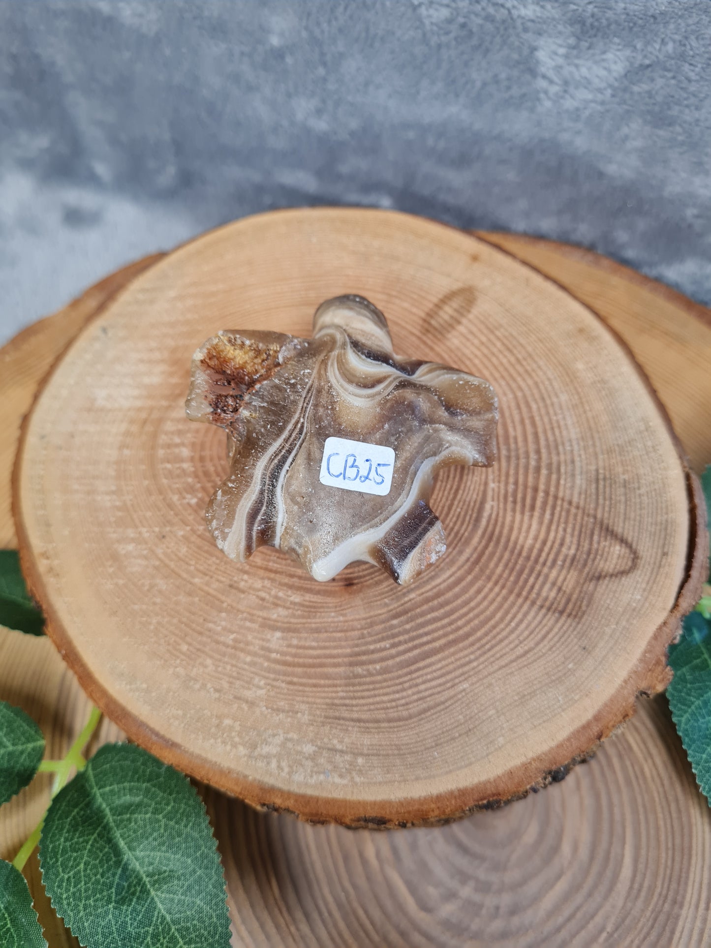 Schokoladen Calcit Schildkröte (CB25)