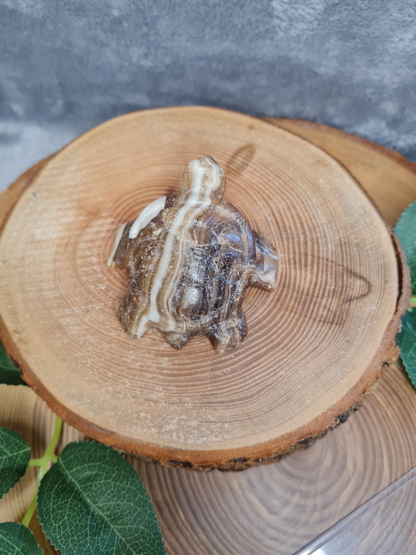 Schokoladen Calcit Schildkröte (CF25)