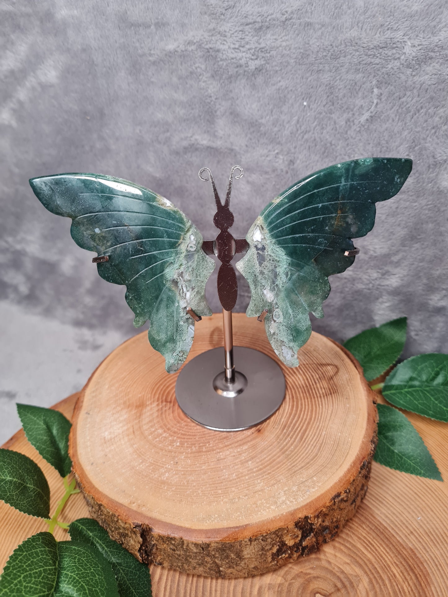 Moosachat Schmetterling (MA25)