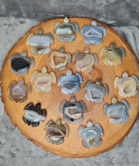 Achat Schildkröte mit Druse