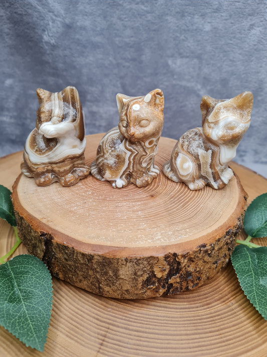 Schokoladen Calcit Katze