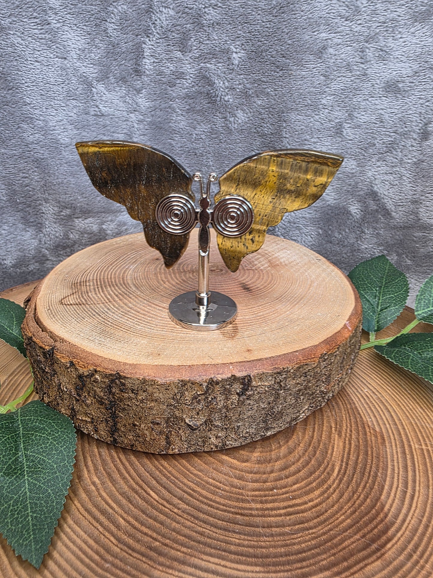 Tigerauge Mini Schmetterling (T15)