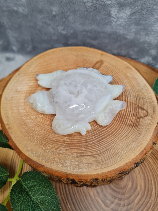 Achat Schildkröte mit Druse (TU26)