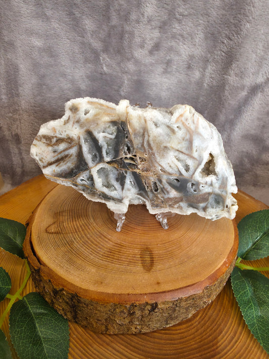 Sphalerit Scheibe (E23)